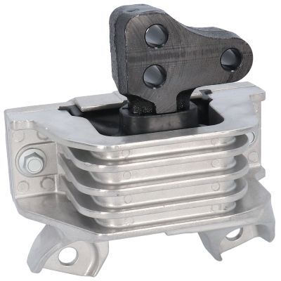 Variklio montavimas BIRTH 53519