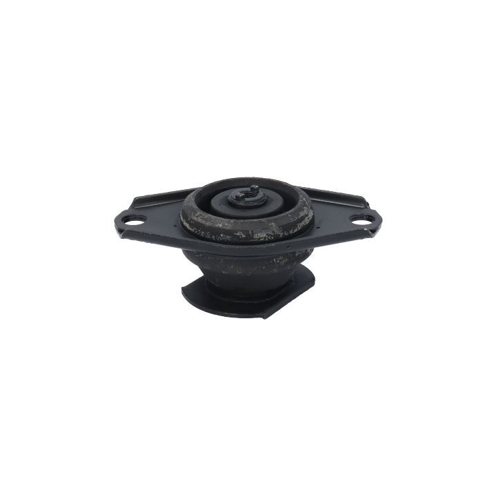 Variklio montavimas BIRTH 5352