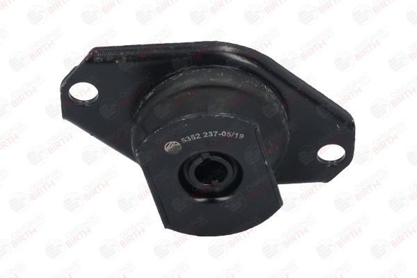 Variklio montavimas BIRTH 5352