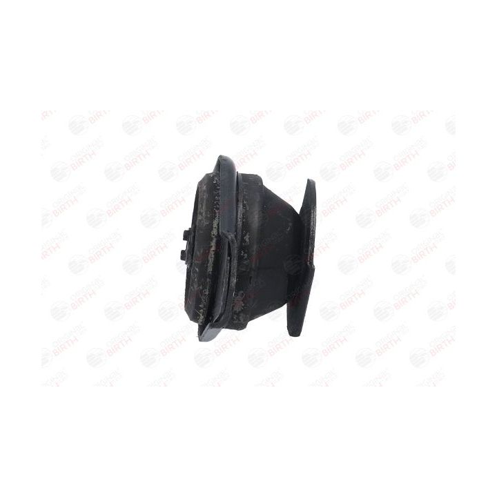 Variklio montavimas BIRTH 5352