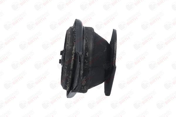 Variklio montavimas BIRTH 5352