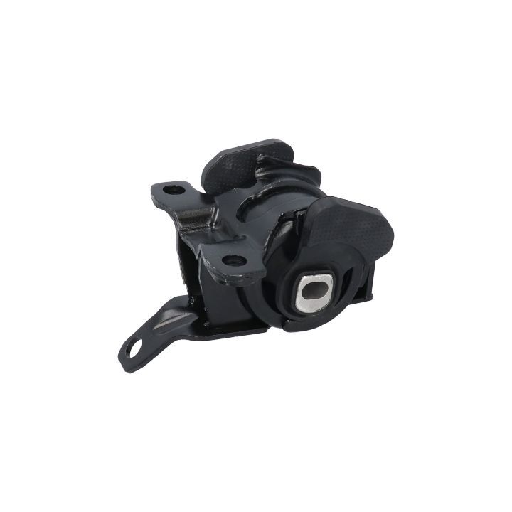 Variklio montavimas BIRTH 53524