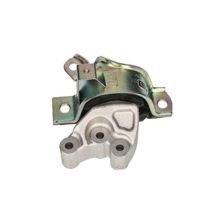 Variklio montavimas BIRTH 53529