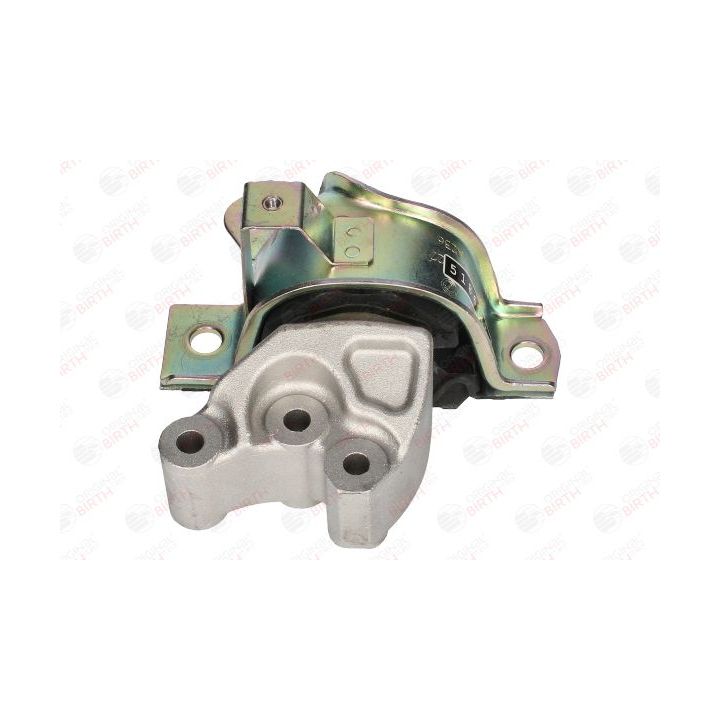 Variklio montavimas BIRTH 53529