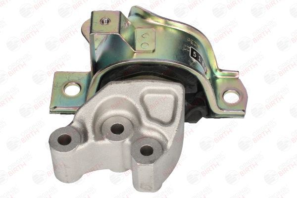 Variklio montavimas BIRTH 53529