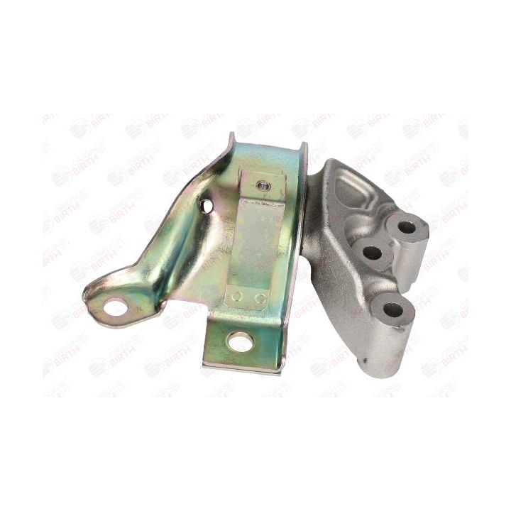 Variklio montavimas BIRTH 53529