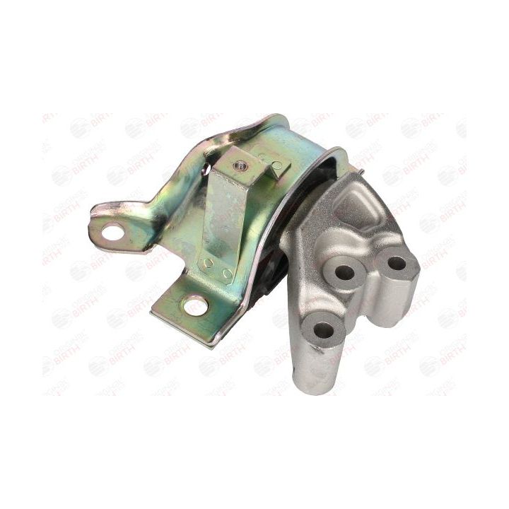 Variklio montavimas BIRTH 53529