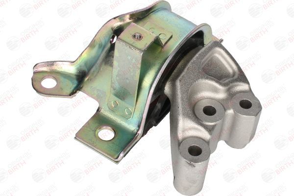 Variklio montavimas BIRTH 53529