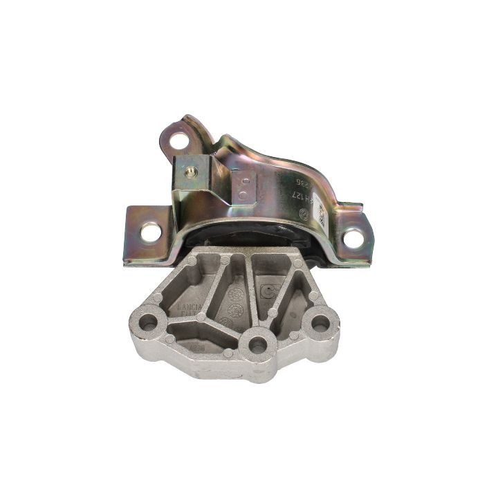 Variklio montavimas BIRTH 53530