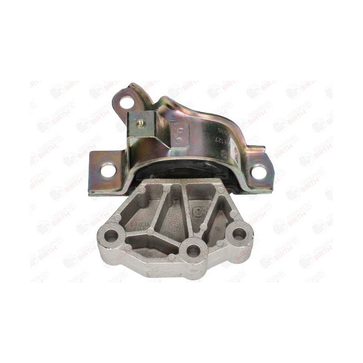 Variklio montavimas BIRTH 53530