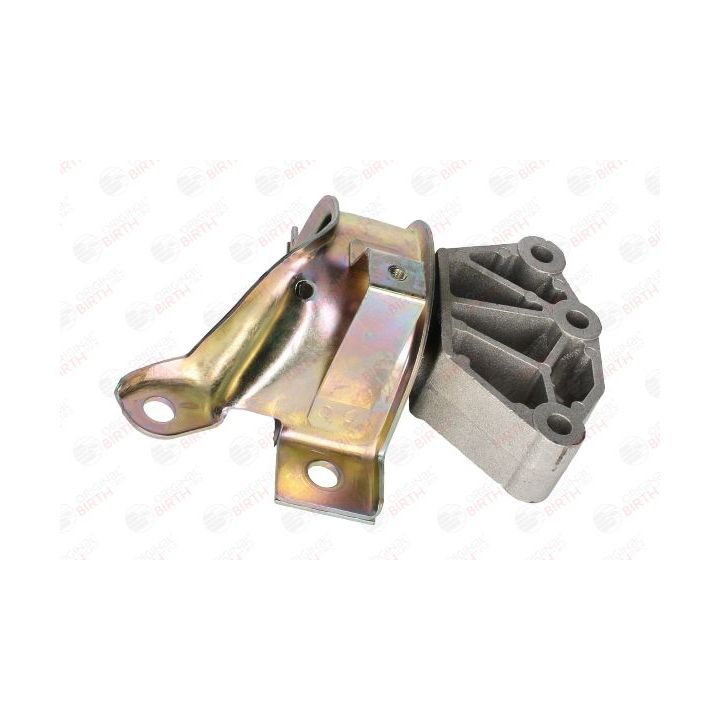 Variklio montavimas BIRTH 53530