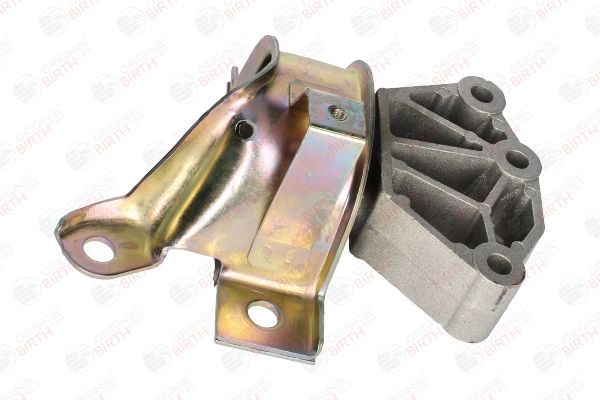 Variklio montavimas BIRTH 53530