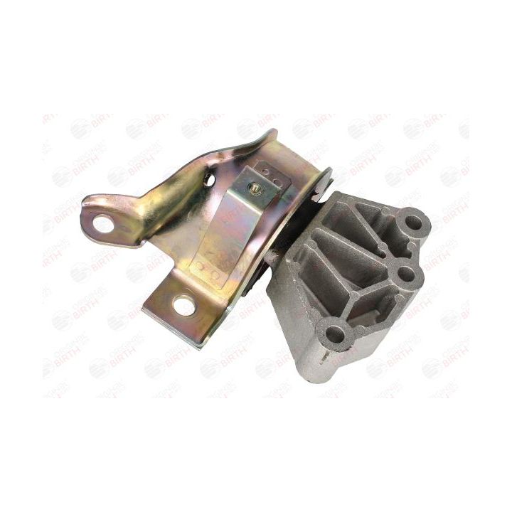 Variklio montavimas BIRTH 53530