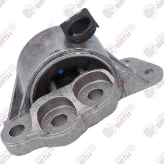 Variklio montavimas BIRTH 53531