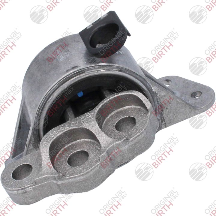 Variklio montavimas BIRTH 53531