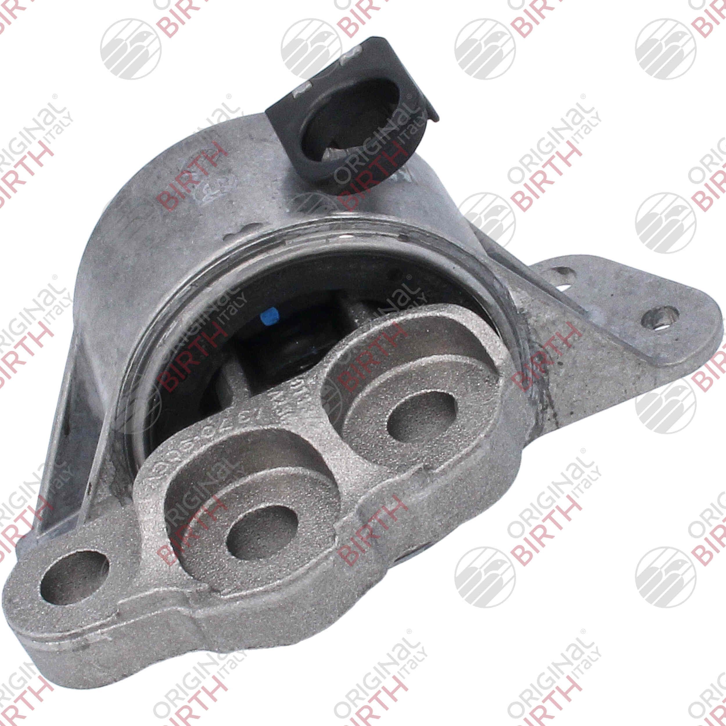 Variklio montavimas BIRTH 53531