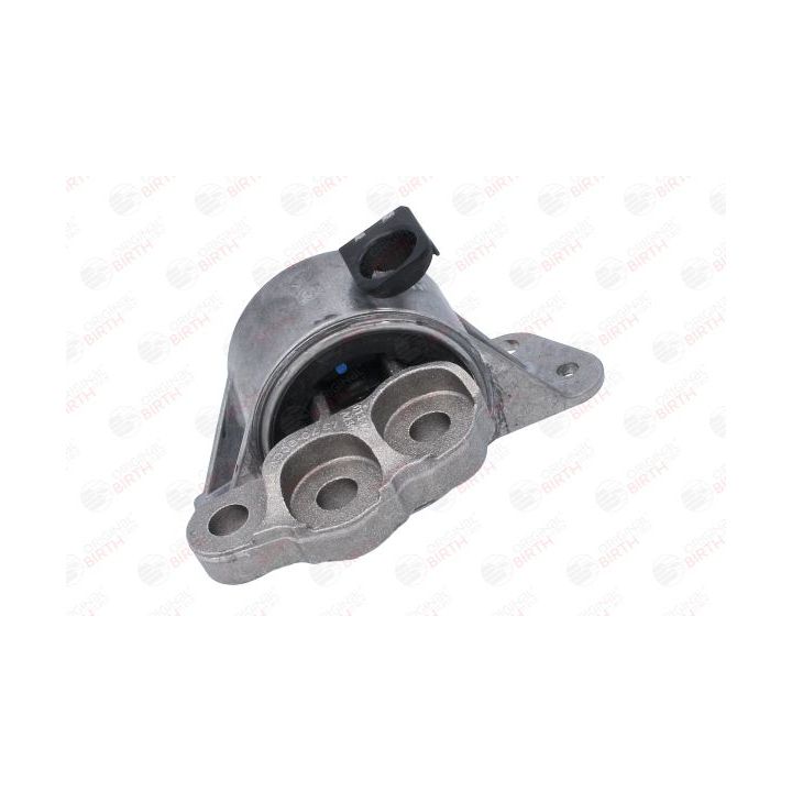 Variklio montavimas BIRTH 53531