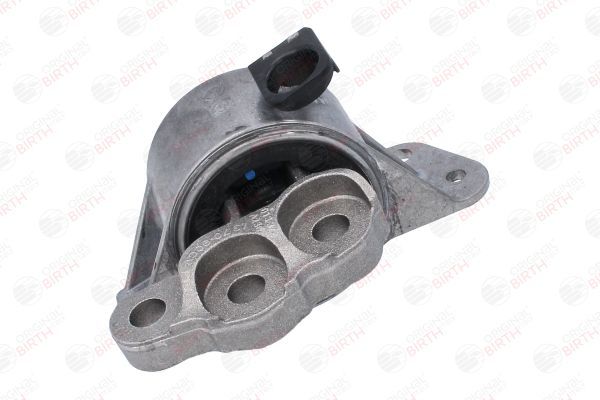 Variklio montavimas BIRTH 53531