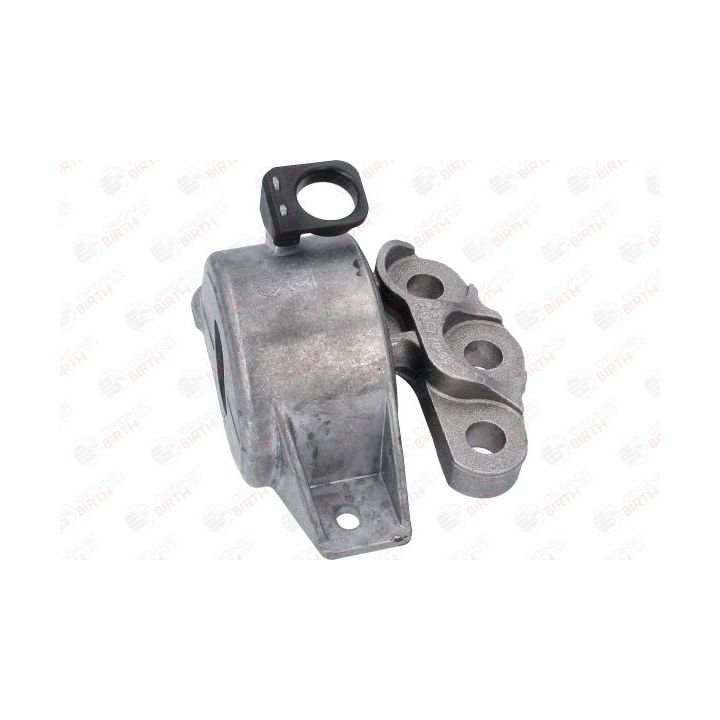 Variklio montavimas BIRTH 53531