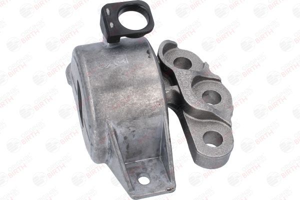 Variklio montavimas BIRTH 53531