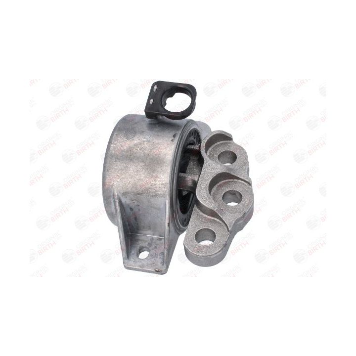 Variklio montavimas BIRTH 53531