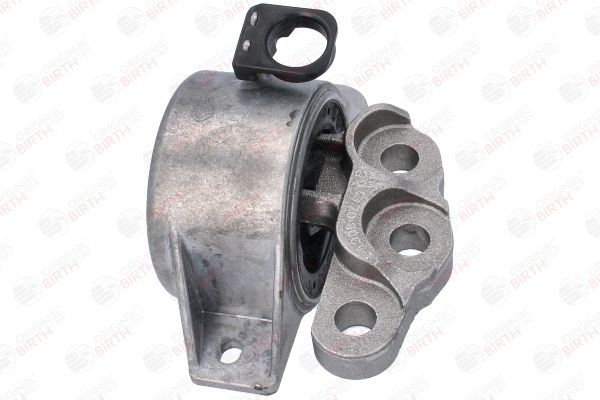 Variklio montavimas BIRTH 53531