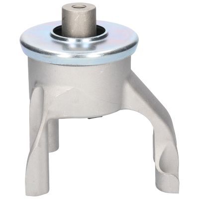 Variklio montavimas BIRTH 53535