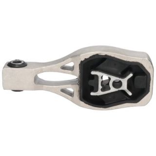 Variklio montavimas BIRTH 53539