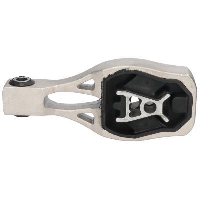 Variklio montavimas BIRTH 53539