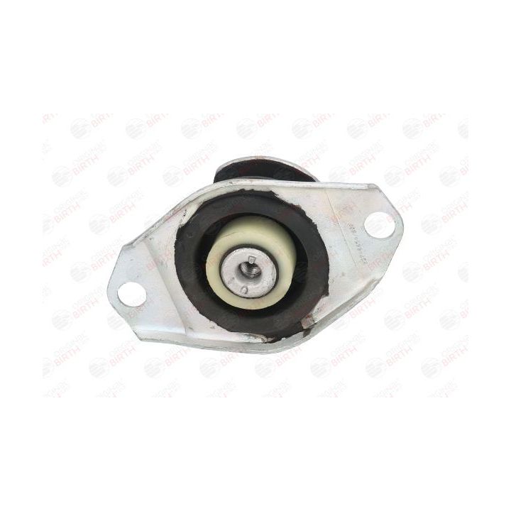 Variklio montavimas BIRTH 5354