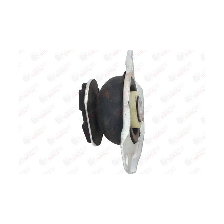 Variklio montavimas BIRTH 5354