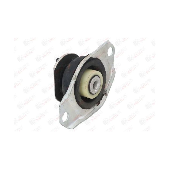 Variklio montavimas BIRTH 5354