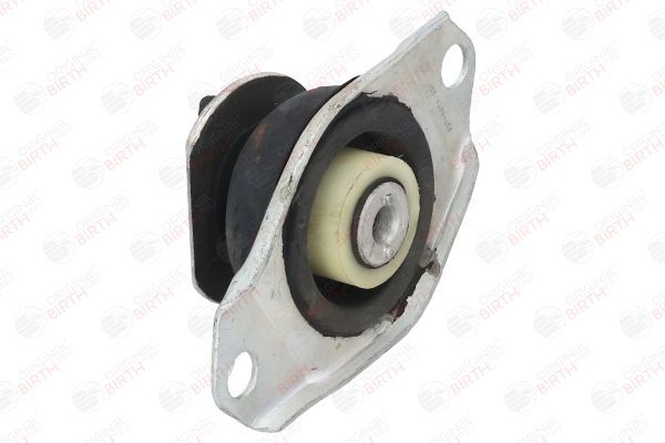 Variklio montavimas BIRTH 5354