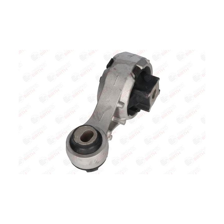 Variklio montavimas BIRTH 53541