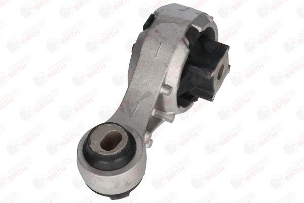 Variklio montavimas BIRTH 53541