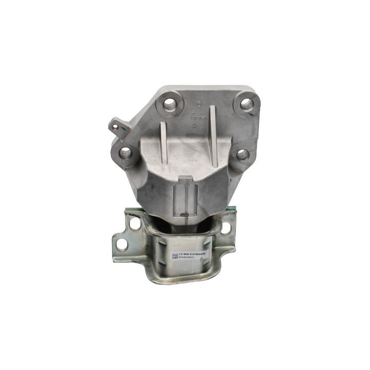 Variklio montavimas BIRTH 53542