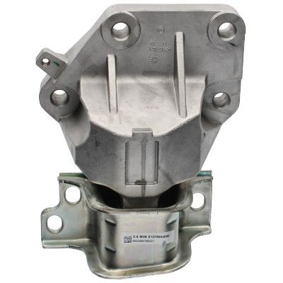 Variklio montavimas BIRTH 53542