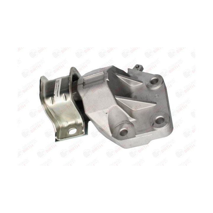 Variklio montavimas BIRTH 53542