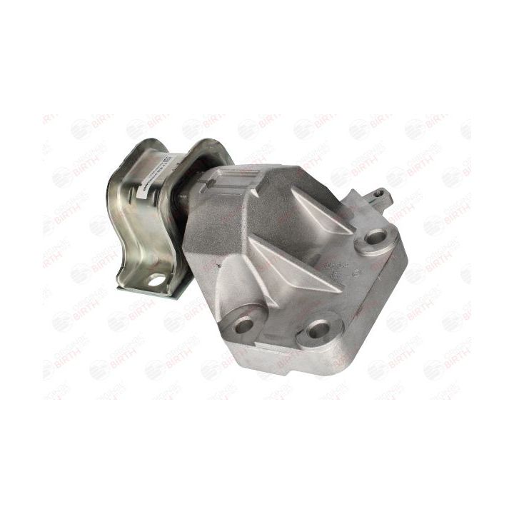 Variklio montavimas BIRTH 53542