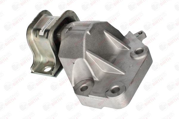 Variklio montavimas BIRTH 53542