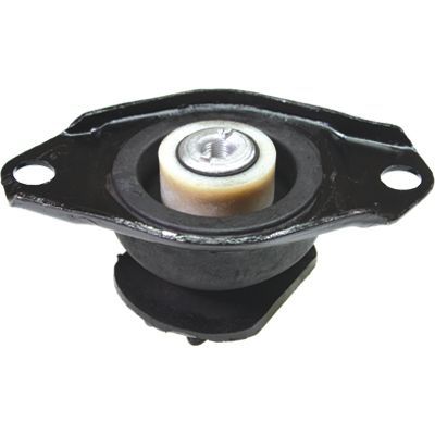 Variklio montavimas BIRTH 5355