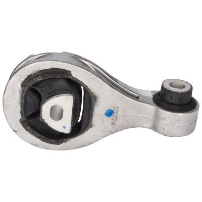 Variklio montavimas BIRTH 53551