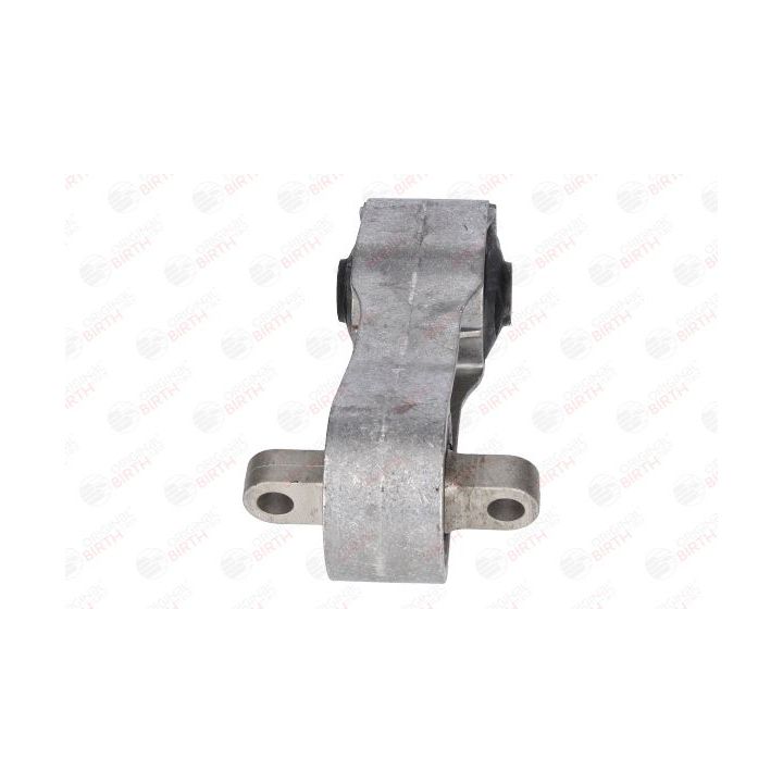 Variklio montavimas BIRTH 53552