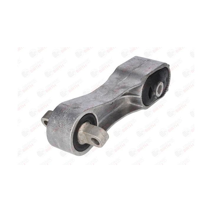 Variklio montavimas BIRTH 53552