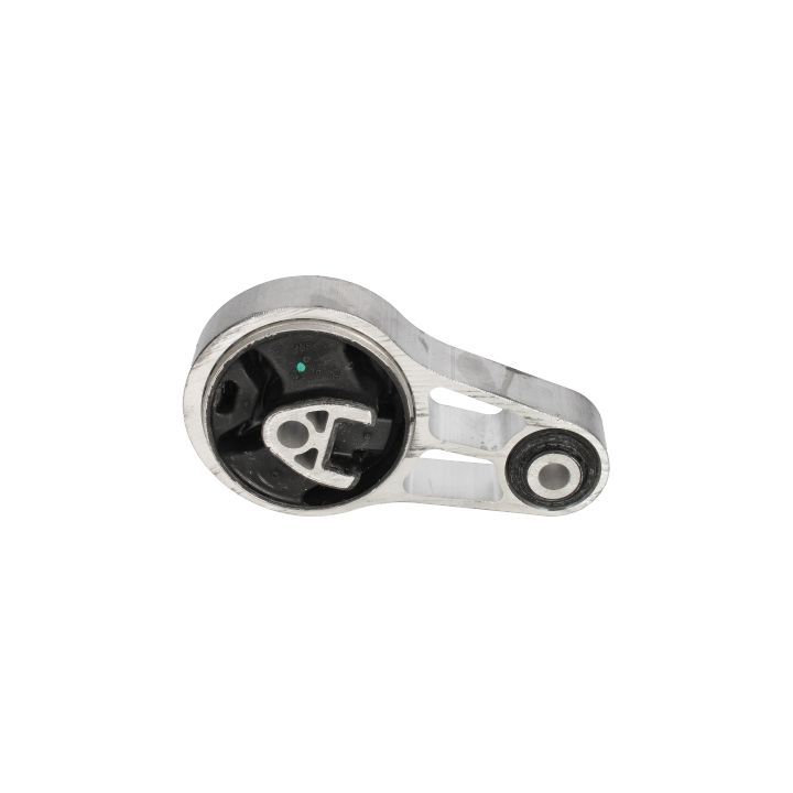 Variklio montavimas BIRTH 53561