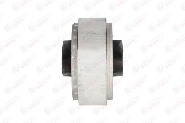 Variklio montavimas BIRTH 53561