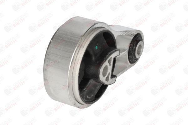 Variklio montavimas BIRTH 53561