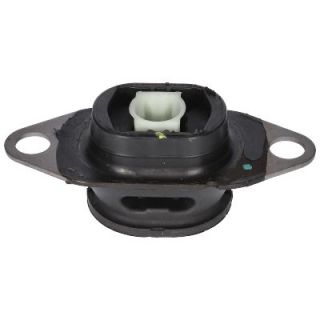 Variklio montavimas BIRTH 53569