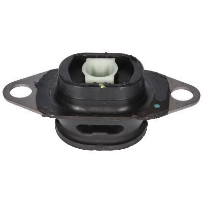 Variklio montavimas BIRTH 53569