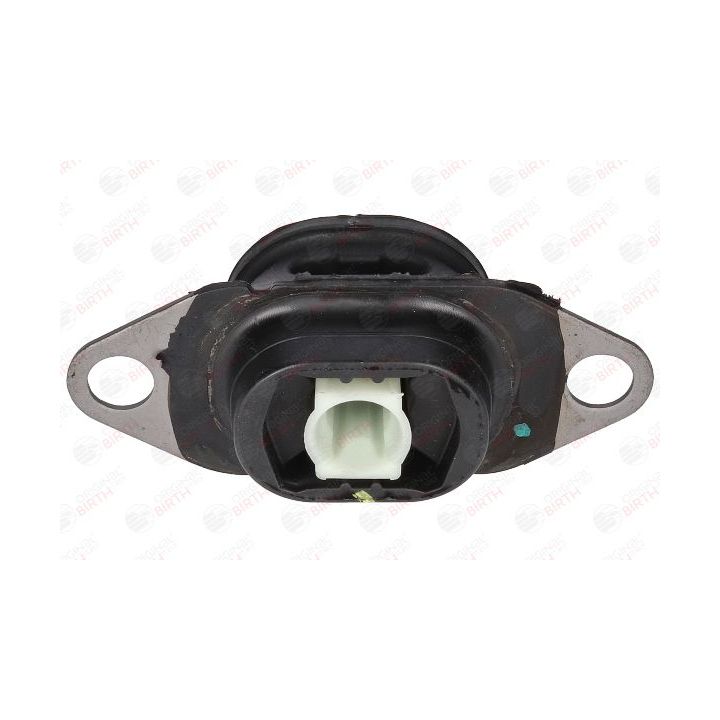 Variklio montavimas BIRTH 53569